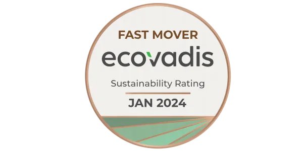 visuel WORK IN PROGRESS !